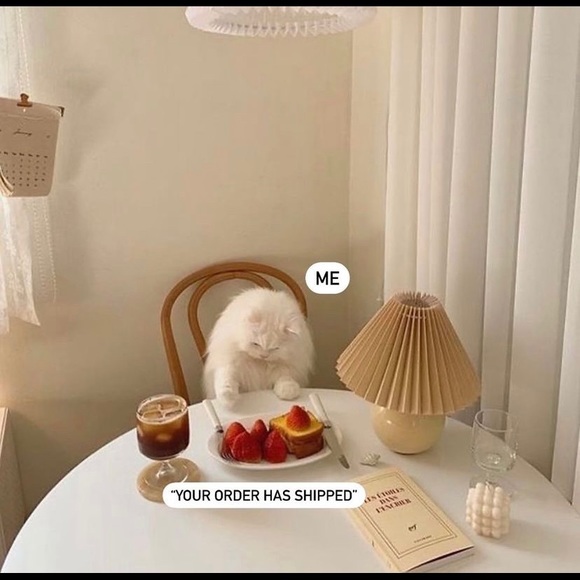 Meet your Posher, Louvisa - Picture 3 of 7